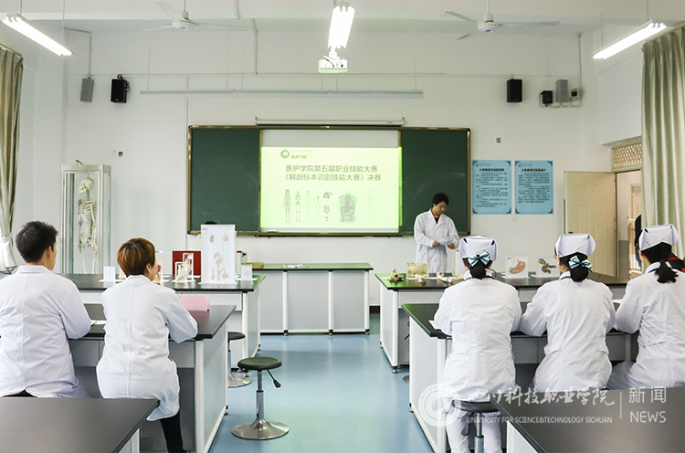 1575009924119628.jpg 1574940064266538.jpg