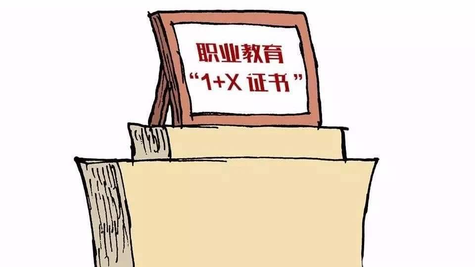 1586510881915501.jpg